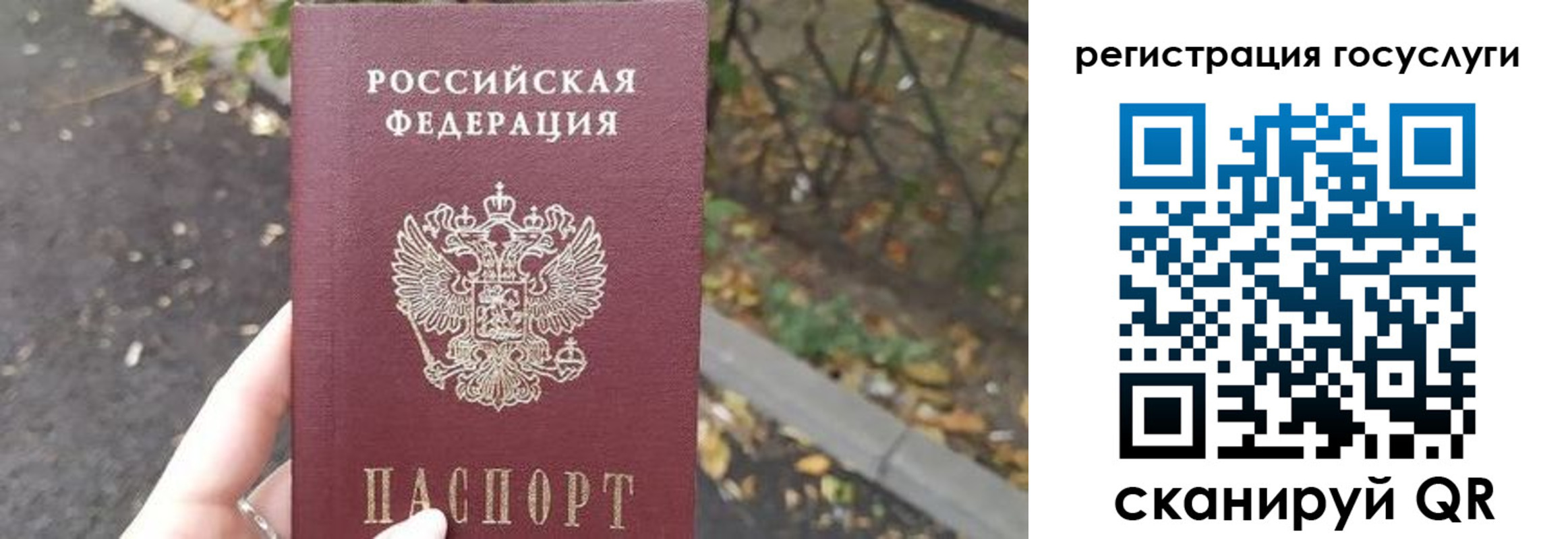 купить прописку в Снежногорске